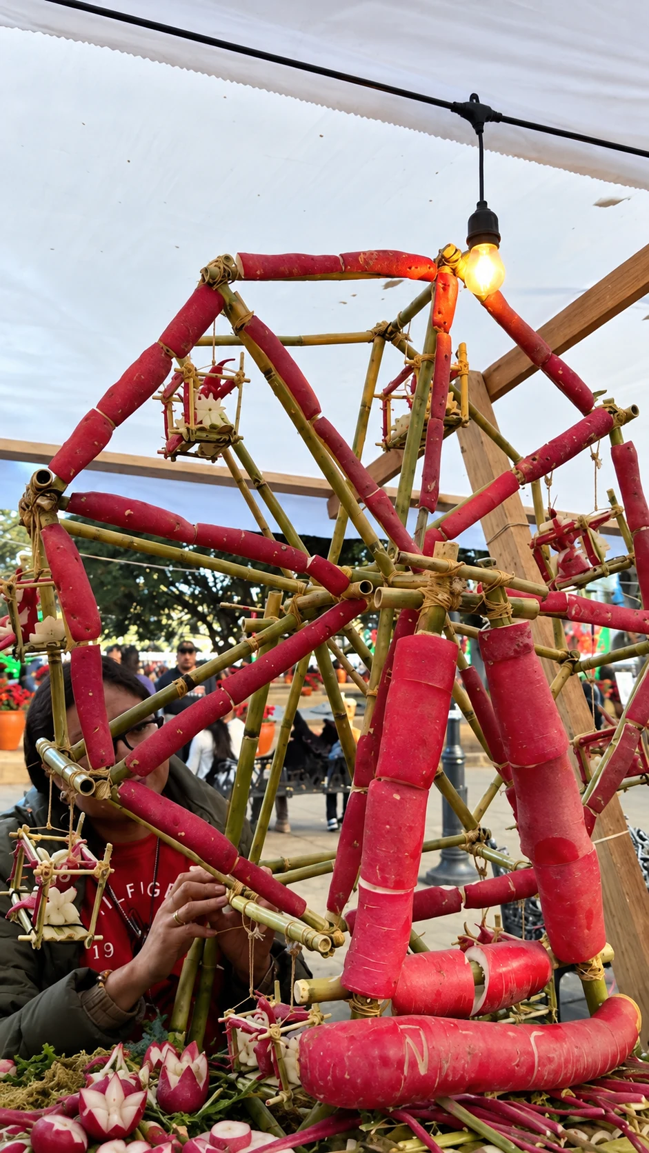 A miniature Ferris wheel constructed from radishes and slender plant stems
